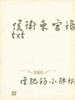 侯卫东官场笔记txt