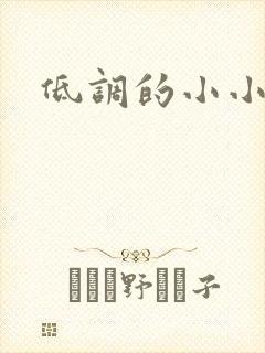 低调的小小宫女