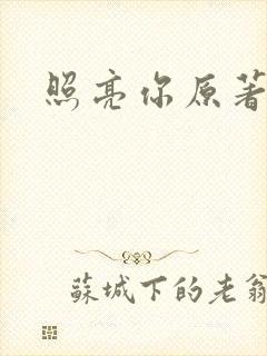 照亮你原著小说