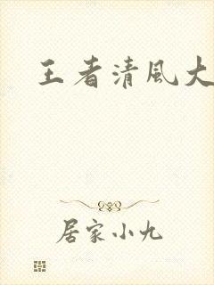 王者清风大结局