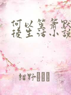 何以笙箫默之婚后生活小说