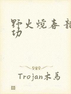 野火烧春 龙鸣功