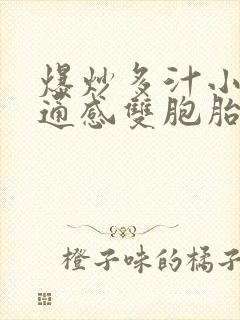 爆炒多汁小美人通感双胞胎