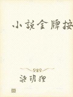 小说金牌按摩师