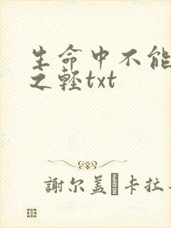 生命中不能承受之轻txt