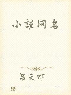 小说网名