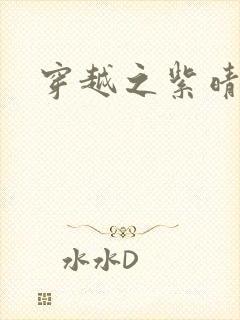 穿越之紫晴郡主