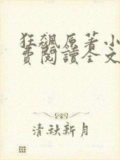 狂飙原著小说免费阅读全文