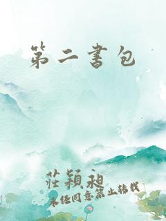 第二书包