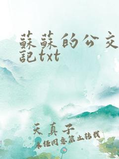 苏苏的公交车日记txt