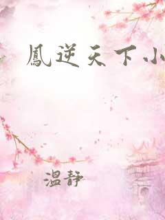凤逆天下小说
