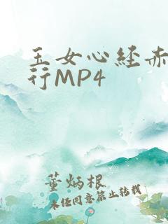 玉女心经赤裸修行MP4