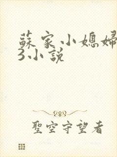 苏家小媳妇1V3小说
