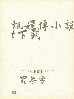 甄嬛传小说txt下载