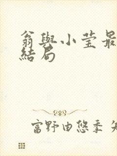 翁与小莹最新大结局