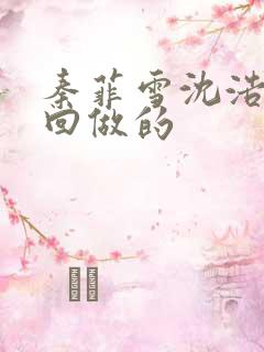 秦菲雪沈浩第几回做的