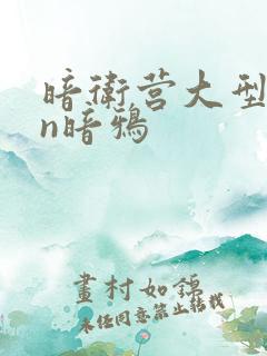 暗卫营大型hpn暗鸦