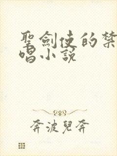 圣剑使的禁咒咏唱小说