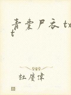 青囊尸衣 txt