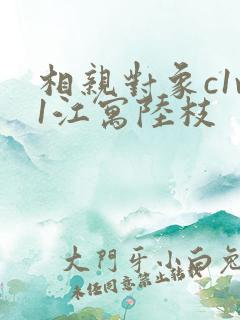 相亲对象c1v1江寓陆枝