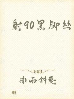 射90黑脚丝女