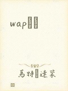 wapС˵