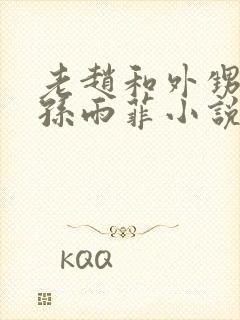 老赵和外甥媳妇孙雨菲小说