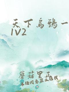 天下乌鸦一般黑1V2