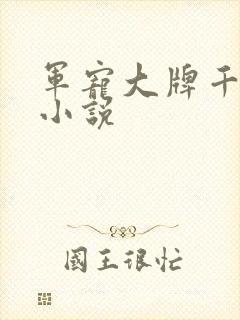 军宠大牌千金 小说