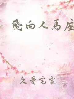 飞向人马座
