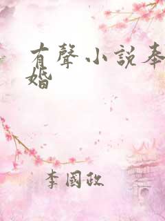 有声小说奉子成婚