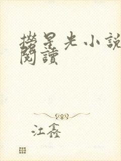 捞星光小说免费阅读