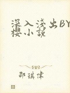 深入浅出BY胖樱小说