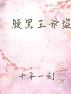 腹黑王爷盗墓妃