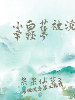 小白花被浇灌日常轻梦