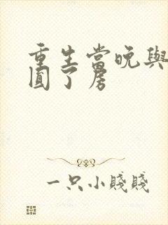 重生当晚与军夫圆了房