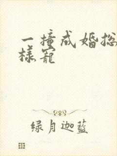 一撞成婚总裁花样宠