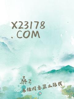 X23178 . COM