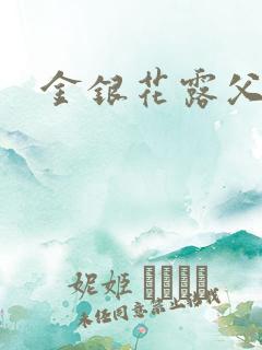 金银花露父欲