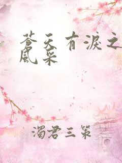 苍天有泪之军人风采