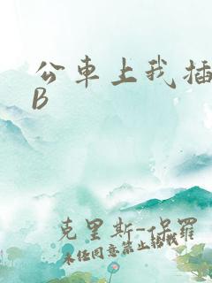 公车上我插上骚B