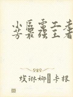 小区电工老周刘芳最强王者