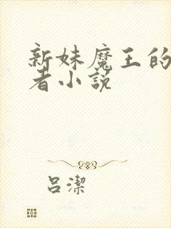 新妹魔王的契约者小说