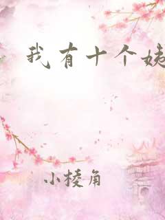 我有十个姨太太