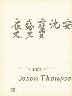 夜盛霆沈安然全文免费