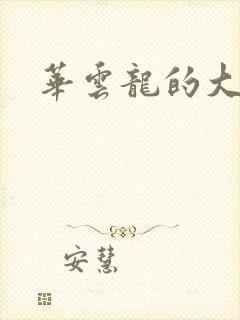 华云龙的大宝贝