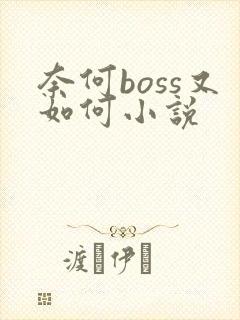 奈何boss又如何小说
