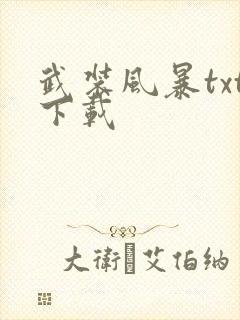 武装风暴txt下载