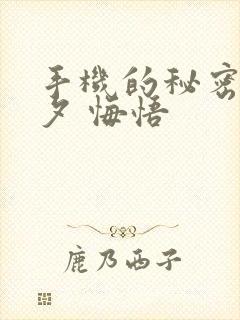 手机的秘密 七夕 悔悟