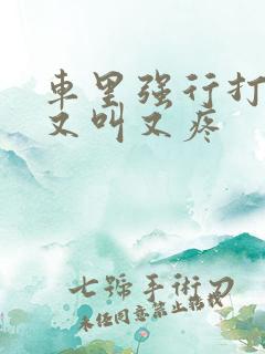 车里强行打扑克又叫又疼